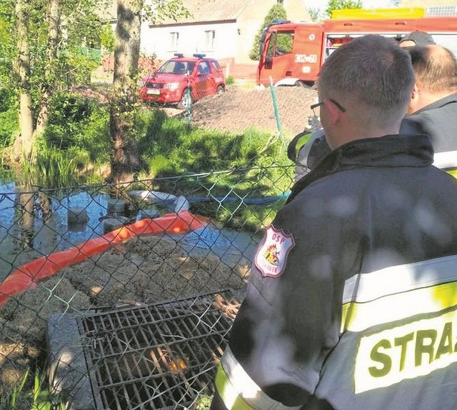 Druhowie z OSP, strażacy z Tucholi i z Bydgoszczy wspólnie usuwali olej napędowy, który dostał się do wody 