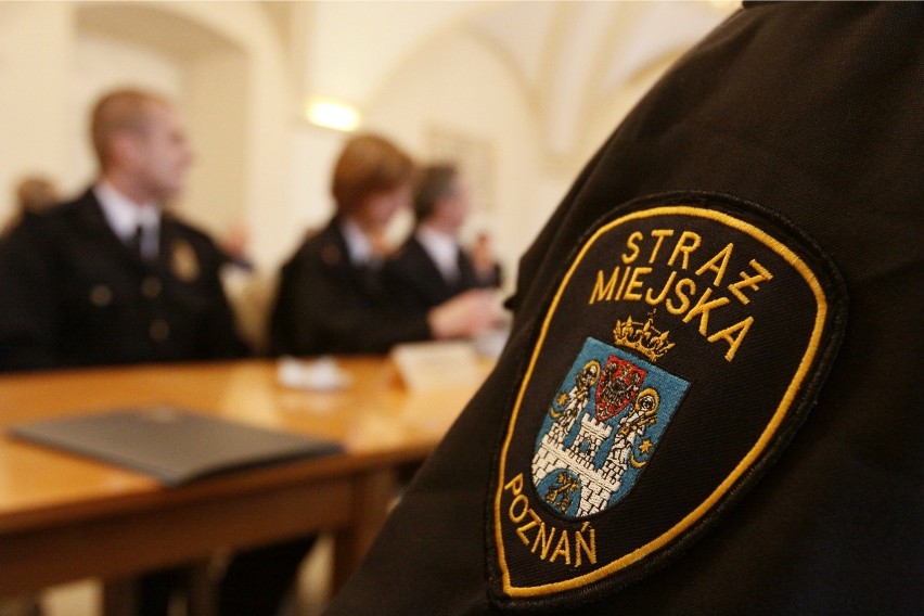 Poznań: Akcja straży miejskiej. Posypały się mandaty