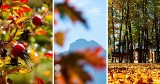 Malownicza jesień w Zakopanem. Tak pięknie jest tylko pod Giewontem!