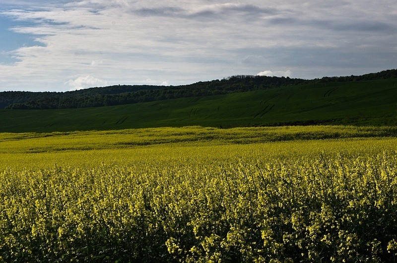 Kto zrobił najlepsze zdjęcia wiosny? Galeria konkursowa (zdjęcia)