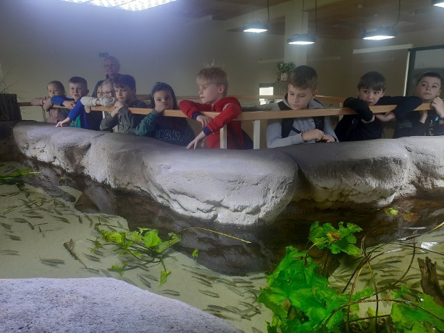 Dzieci ze świętokrzyskich szkół codziennie  odwiedzają Centrum Edukacji Przyrodniczej w Umianowicach. Podczas warsztatów na łonie natury uczniowie robili miedzy innymi ziołową herbatkę Zobacz kolejne zdjęcia