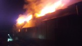 W nocy doszło do pożaru mleczarni w Zielinie (zdjęcia) 