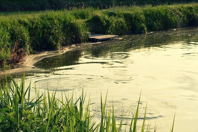 Powstaje film o łowiskach i gospodarstwach rybackich powiatu jędrzejowskiego  