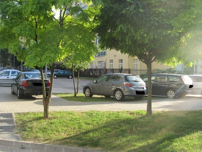 Zdjęcie wykonane na parkingu osiedlowym przy ul. Szkolnej i...