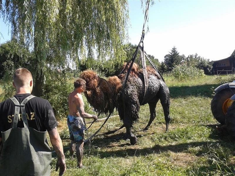 Zgłoszenie przyjęte zostało o godz. 15.15, a akcja...