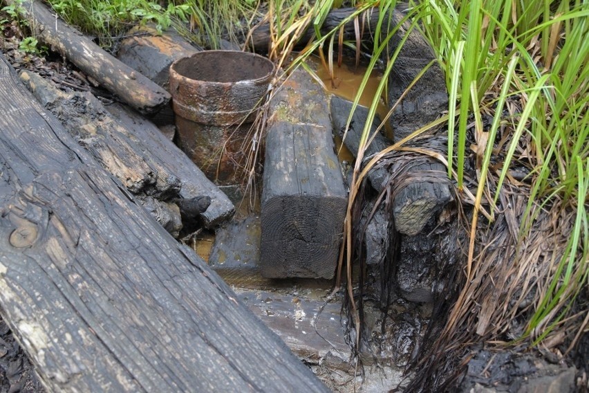 Strumienie i potoki w Bieszczadach nie są zanieczyszczone ropą