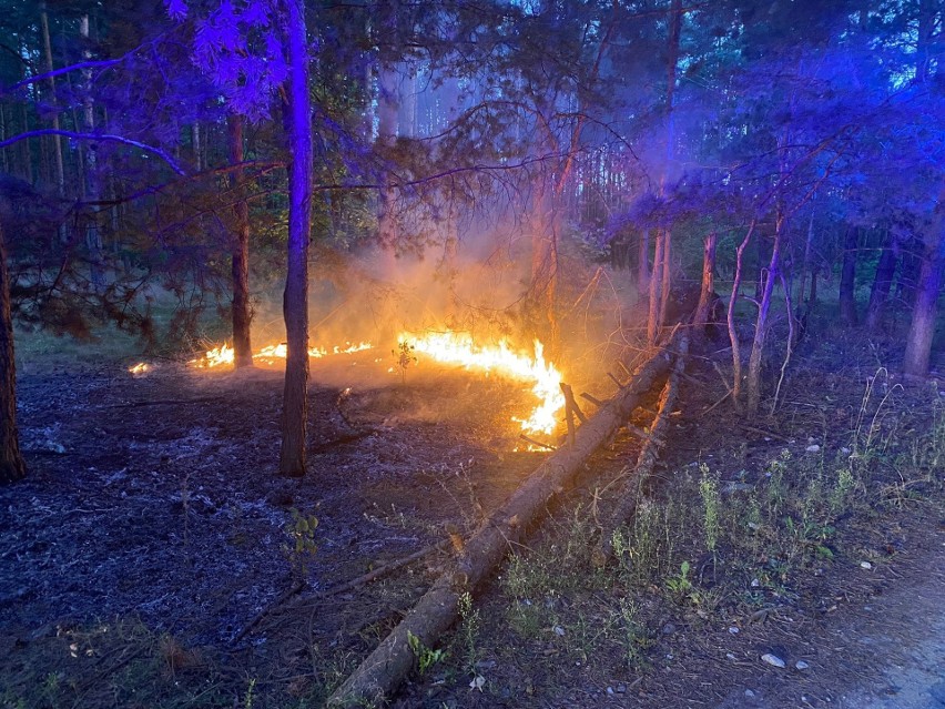 Pod Toruniem doszło do licznych pożarów.
