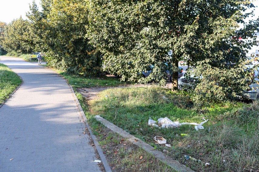 Parking dyskontu w Dąbiu