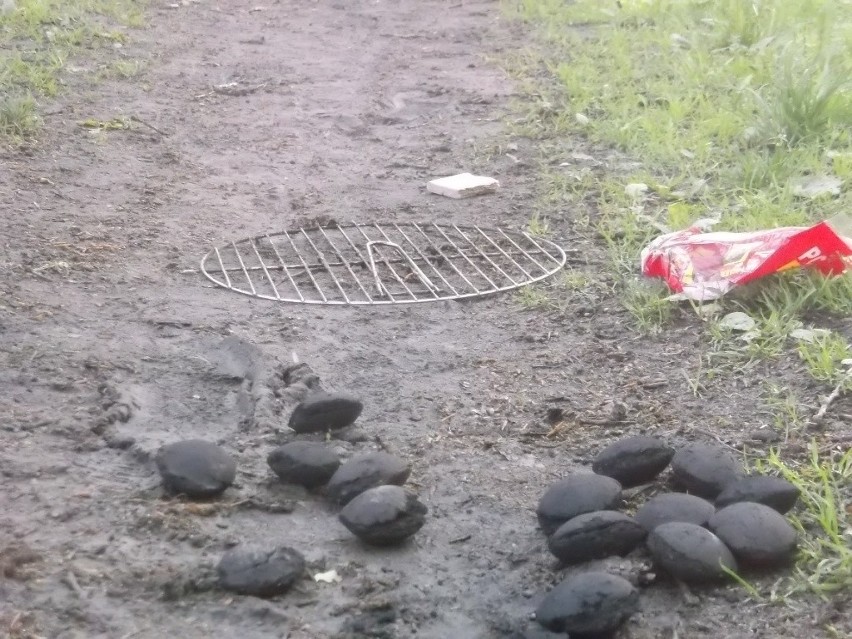 Wielkie sprzątanie na Wittigowie. Studenci dali pracę wrocławianom (ZDJĘCIA)