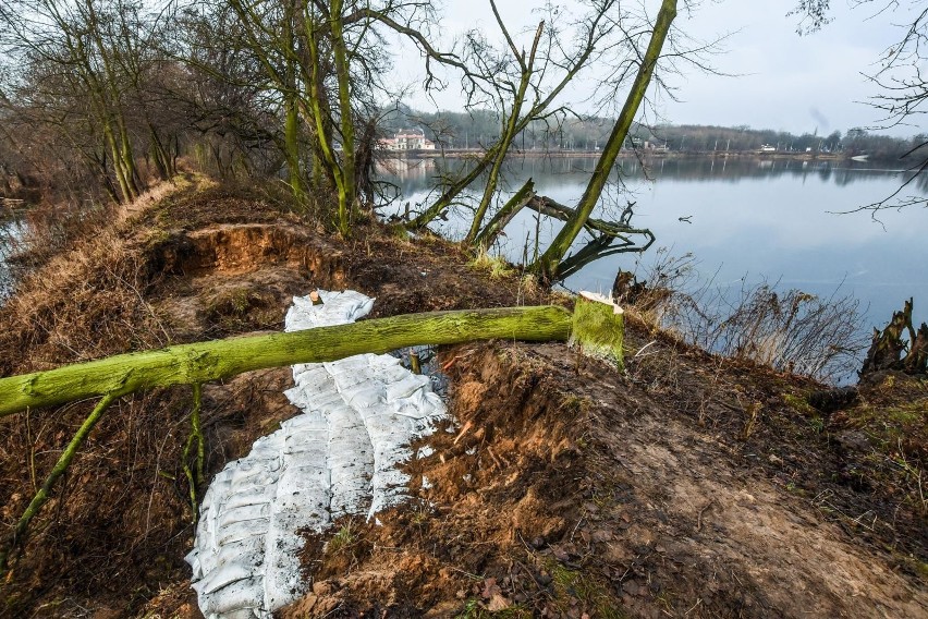 Kilkudziesięciu strażaków uszczelniało wczoraj groblę, przez...