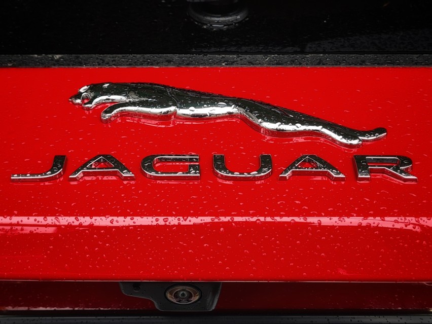 Najmniejszy SUV Jaguara jest na rynku od 2017 roku (w Polsce...