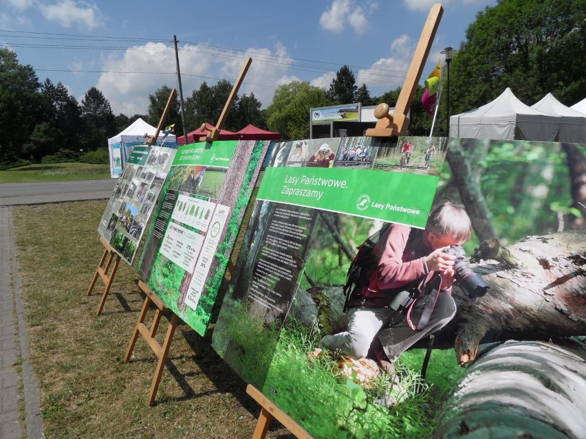 Leśny Piknik Rodzinny Ekoodpowiedzialnie 2015 w Katowicach