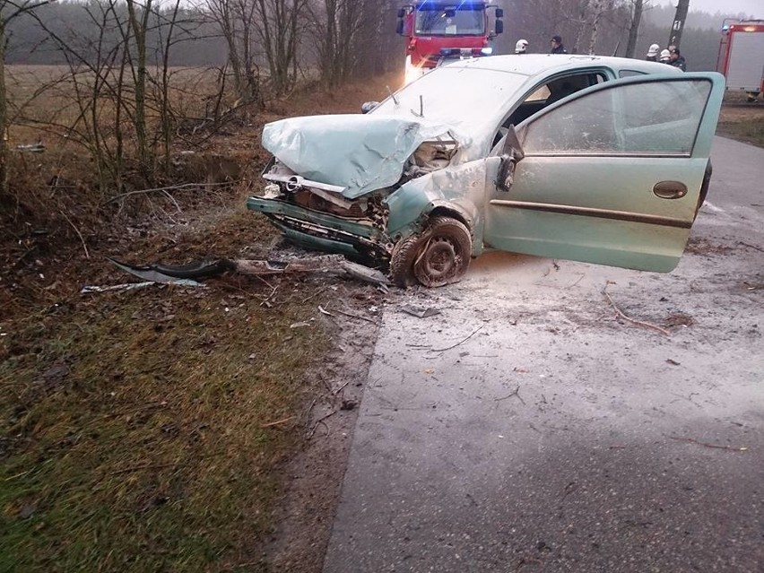 Auto osobowe marki Opel Corsa uderzyło w drzewo.