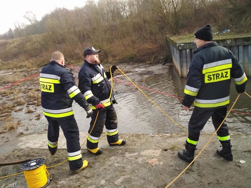 Stawy Monowskie. Strażacy uratowali tonącą w kanale sarnę