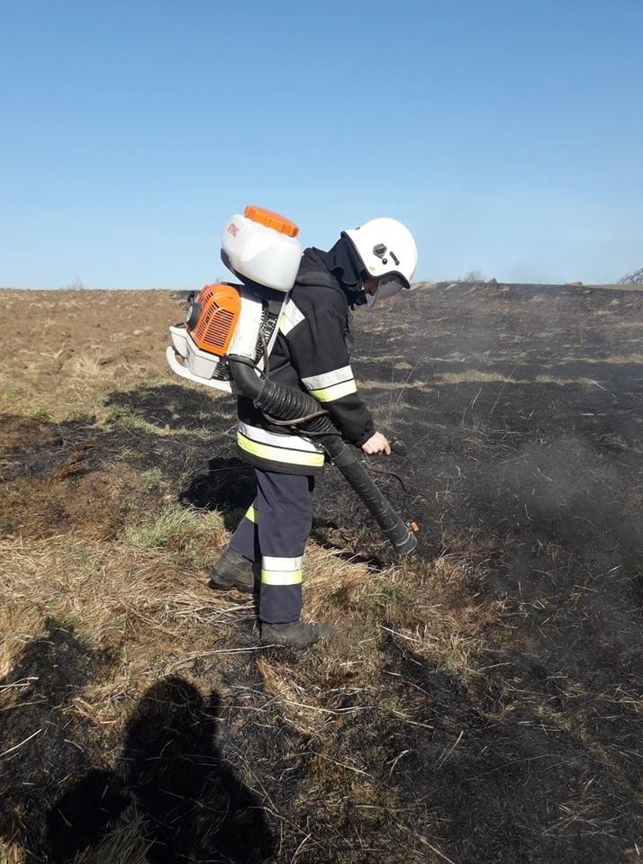 Zaczęło się wypalanie traw. Strażacy mówią, że to sezon na głupotę