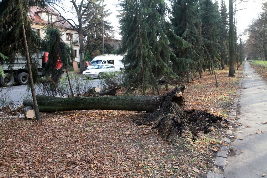 Ostrzeżenie IMGW przed silnym porywistym wiatrem na Śląsku....