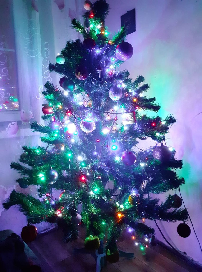 Boże Narodzenie 2020: przepiękne zdjęcia choinek naszych Czytelników. Zobacz najpiękniejsze dekoracje świąteczne w województwie lubelskim