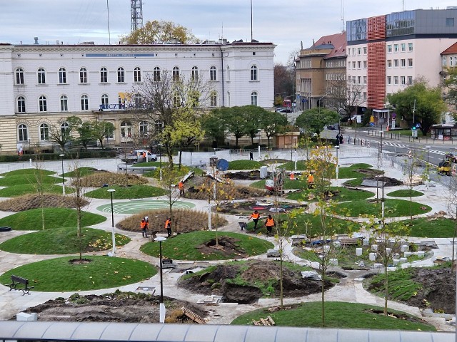 Robotnicy sadzą już drzewa i krzewy na placu przed dworcem PKP w Opolu.