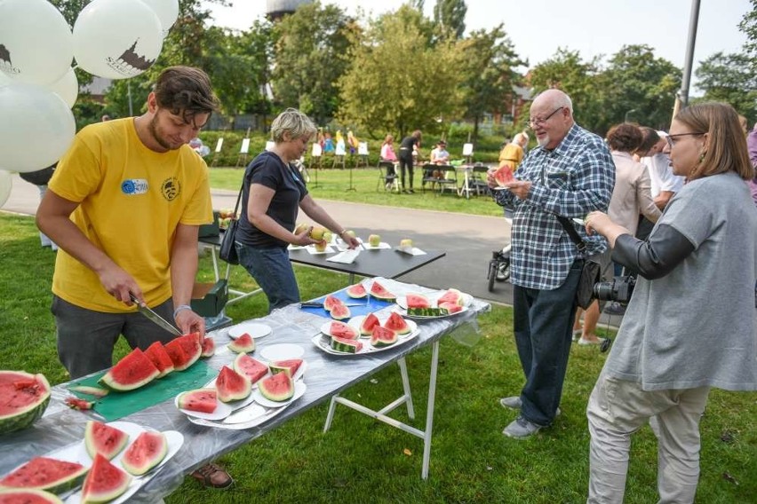 Trwa Piknik Staromiejski w Starym Korycie Warty [ZDJĘCIA]