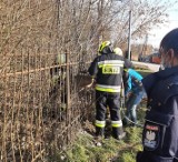 Michałowice. Sarna uwięziona w metalowym ogrodzeniu. Uwolnili ją strażacy