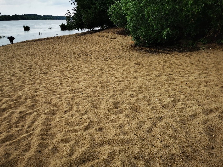 Kolejna plaża nad Wisłą! Jak wygląda Przystanek Plaża na Winnicy? ZDJĘCIA