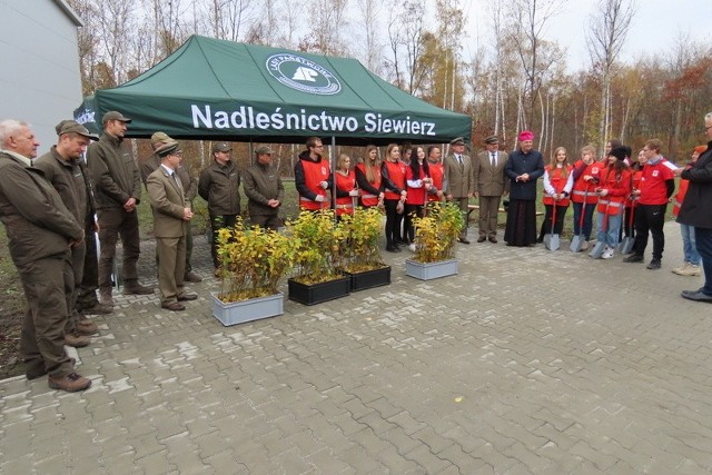 W Będzinie, wokół nowego magazynu żywnościowego Caritasu, posadzonych zostało 600 sadzonek grabu Zobacz kolejne zdjęcia/plansze. Przesuwaj zdjęcia w prawo - naciśnij strzałkę lub przycisk NASTĘPNE