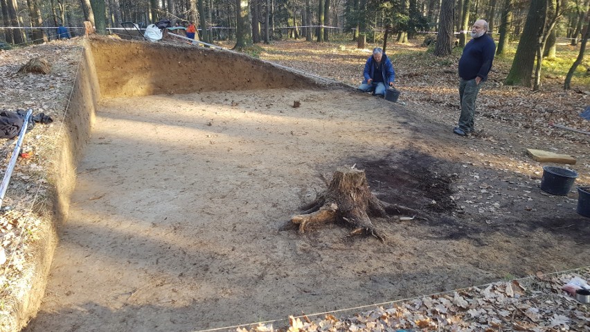 Badania archeologiczne jednego z kurhanów w Lesie...