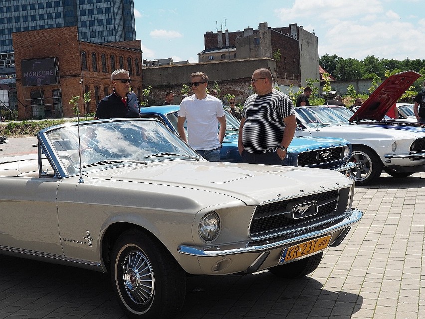 Mustangi przyjechały do Łodzi. Zobacz jak wyglądają auta z lat sześćdziesiątych