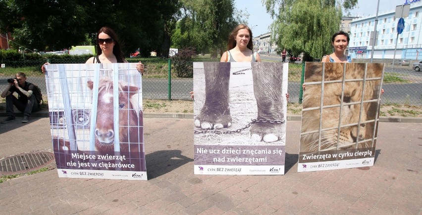 Protestowali przed Manufakturą przeciwko wykorzystywaniu zwierząt cyrkowych [ZDJĘCIA]