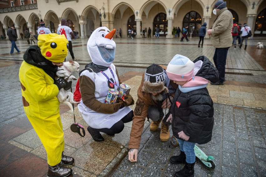 WOŚP 2022 w Krakowie. Spacer z psem na Rynku Głównym? W Krakowie z Orkiestrą "grały" spaniele i Golden Retrievery [ZDJĘCIA]