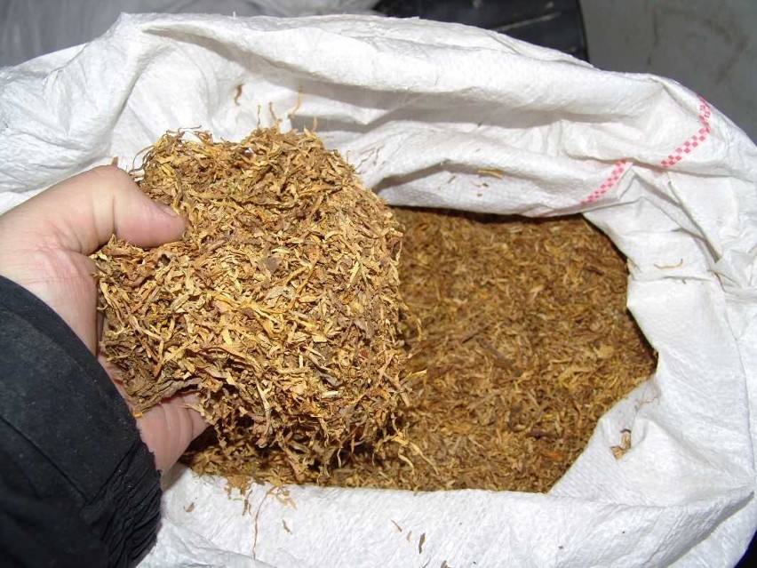 Tona nielegalnego tytoniu skonfiskowana pod Toruniem. Był w aucie, które przejechało przez pasy na czerwonym świetle