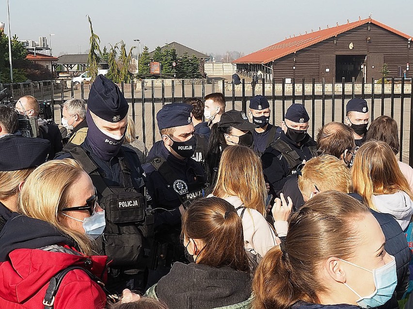 Pierwotnie w licytacji miało wziąć udział 141 koni, jednak...