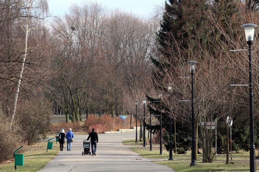 Park Śląski