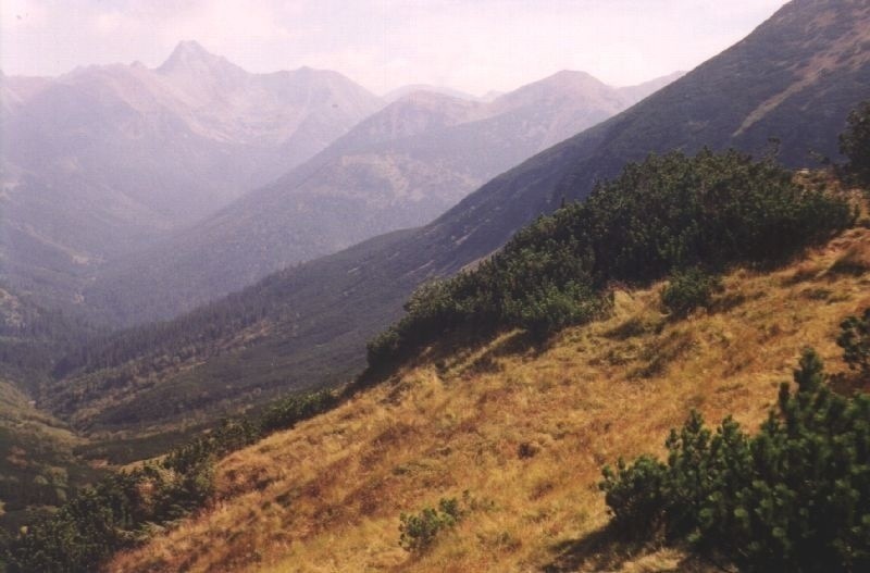 Tatry.