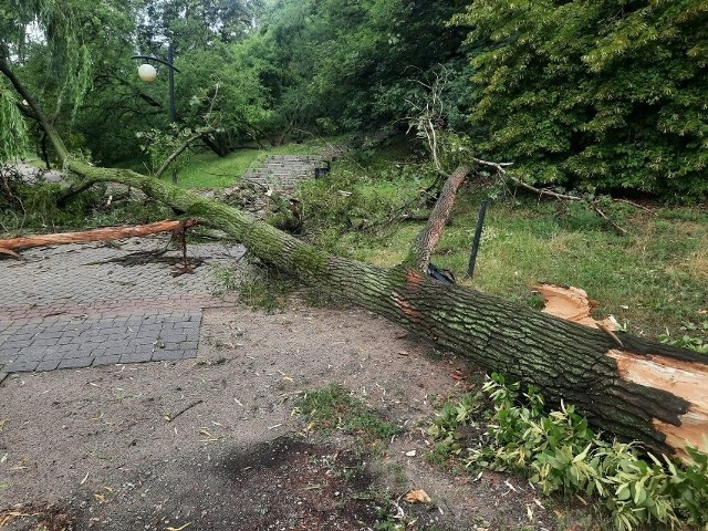 Burze na Mazowszu. Połamane drzewa, zalana jezdnia S8 i pożar poddasza od pioruna