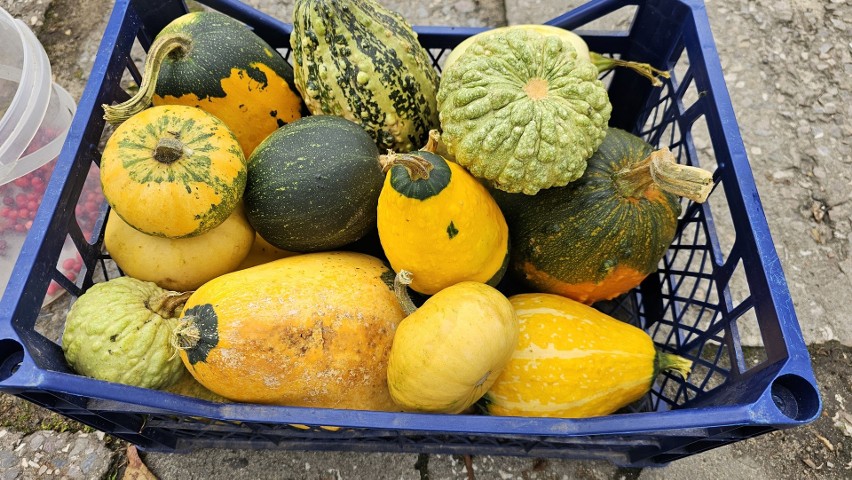 Ceny owoców i warzyw na bazarach w Kielcach w piątek 3 listopada. Co i za ile można kupić? Sprawdź
