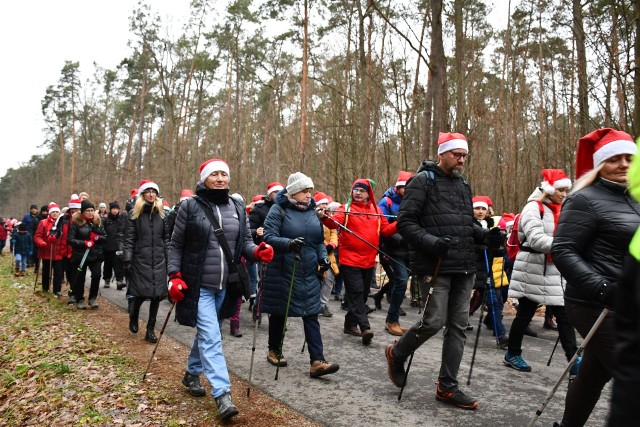 Mikołajkowy Nordic Walking rozpoczął się od zbiórki pod siedzibą Regionalnej Dyrekcji Lasów Państwowych w Radomiu. Potem wszyscy przejechali do Puszczy Kozienickiej, gdzie odbyło się całe wydarzenie.
