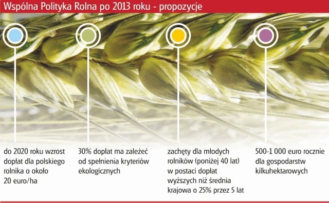 Dopłaty po 2013. Gospodarze czują się oszukani. Powód? Nie ma szans, że dostaną tyle samo, co ich koledzy z Niemiec czy Belgii