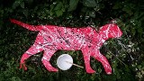 Gliwice: nadchodzi ARTNoc z różowym kotem