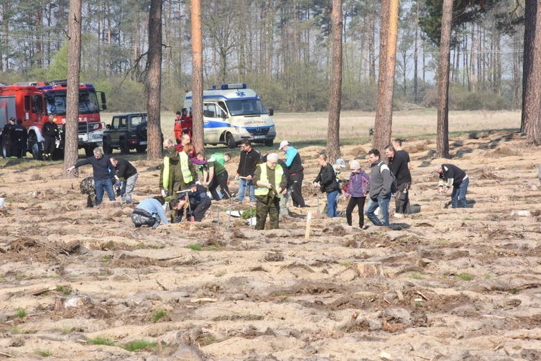 Zdjęcia z akcji "Posadźmy las razem" (Zielona Góra Przylep -...