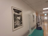 Obrazy uczniów bydgoskiego Plastyka zdobią hole i gabinety lekarskie w szpitalach