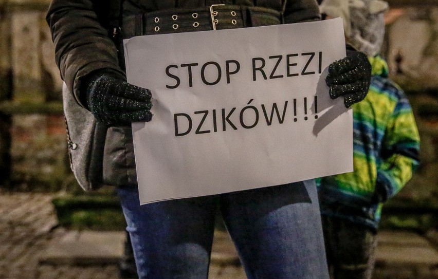 Manifestacja "Solidarni z dzikami" pod Fontanną Neptuna