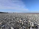 Plażę w Świnoujściu zasypało muszlami! Zobaczcie plażę i promenadę w Świnoujściu w weekend