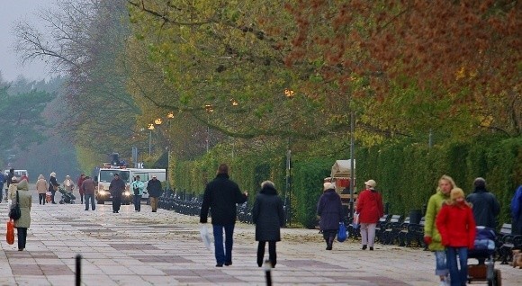 Za dwa lata w miejscu lasu, który porasta wydmy może się rozpocząć wielka budowa hoteli i apartamentowców.