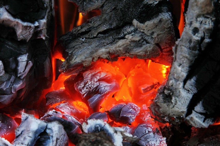 31 grudnia do bydgoskiej Straży Miejskiej dotarła ekspertyza...