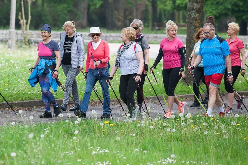 Nordic walking w PKiW w Słupsku. Zobacz zdjęcia