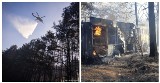 Pożar lasu przy granicy z Białorusią. 100 strażaków walczyło z ogniem. Zobacz zdjęcia