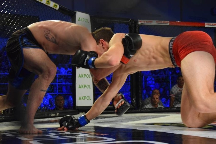 Gala MMA TFL w Kraśniku. Zobacz zdjęcia z wydarzenia