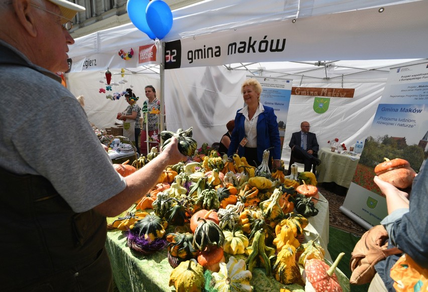 Mixer regionalny 2015. Tak było rok temu...