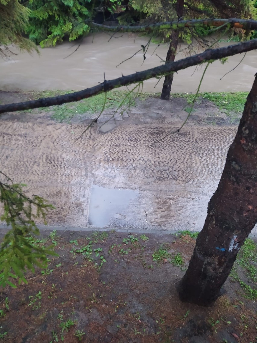 W wyniku ulewy w Bochni potok Babica zalał deptak między...
